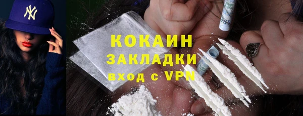 хмурый Арсеньев