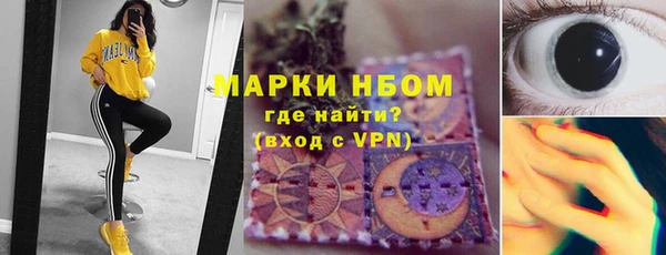 хмурый Арсеньев