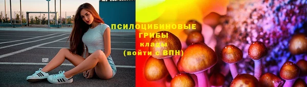 гидропоника Армянск