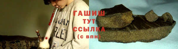 хмурый Арсеньев