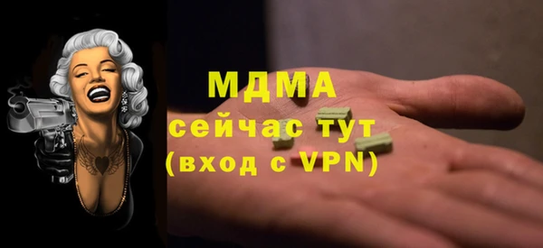 хмурый Арсеньев