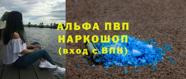 хмурый Арсеньев