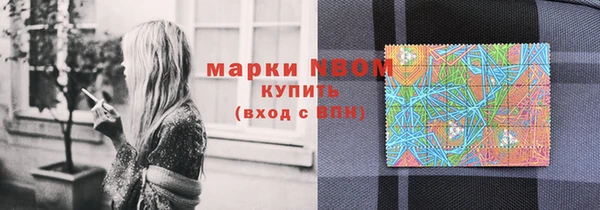 хмурый Арсеньев