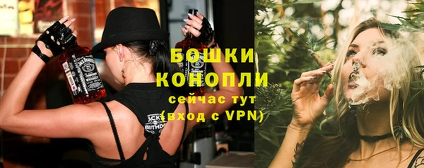 гидра Аркадак
