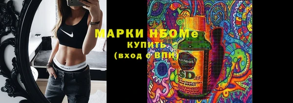 хмурый Арсеньев