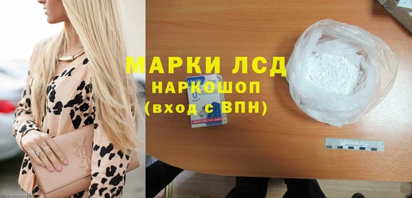 хмурый Арсеньев