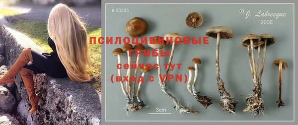 гидропоника Армянск