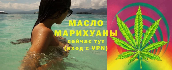 хмурый Арсеньев